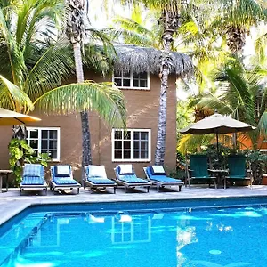https://the-bungalows-hotel.cabosanlucashotelsmexico.com
